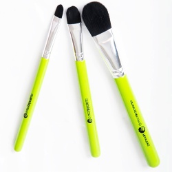 /categories/cameleon pinceles